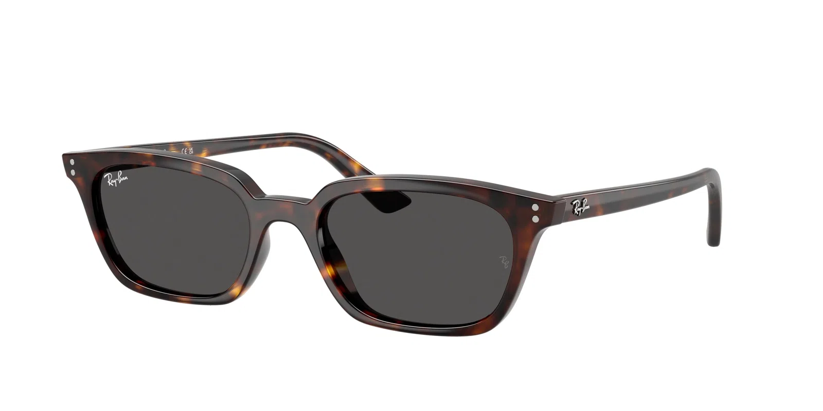 Ray-Ban Zaya 4456 Sunglasses - view 5